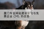 厦门专业网站建设公司与免费企业 CMS 的优势