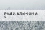 跨域建站-赋能企业网生未来