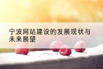宁波网站建设的发展现状与未来展望