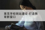 莱芜学校网站建设-打造教育新窗口