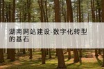 湖南网站建设-数字化转型的基石