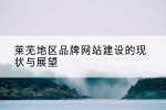 莱芜地区品牌网站建设的现状与展望