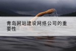 青岛网站建设网络公司的重要性