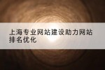 上海专业网站建设助力网站排名优化