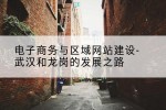 电子商务与区域网站建设-武汉和龙岗的发展之路