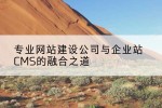 专业网站建设公司与企业站CMS的融合之道