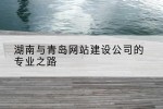 湖南与青岛网站建设公司的专业之路
