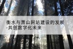 衡水与萧山网站建设的发展-共创数字化未来