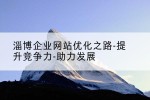 淄博企业网站优化之路-提升竞争力-助力发展