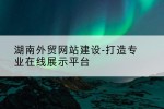 湖南外贸网站建设-打造专业在线展示平台