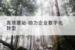 高效建站-助力企业数字化转型