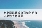 专业网站建设公司如何助力企业数字化转型