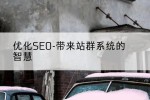 优化SEO-带来站群系统的智慧