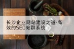 长沙企业网站建设之道-高效的SEO站群系统