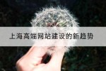 上海高端网站建设的新趋势