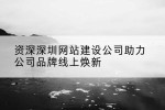 资深深圳网站建设公司助力公司品牌线上焕新