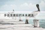 多语言建站的未来潮流