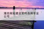 潍坊网站建设如何选择专业公司