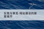 东莞与莱芜-网站建设的新星城市