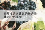 外贸多语言建站的新选择-建站CMS系统
