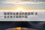 湖南网站建设的新趋势-多语言独立站的兴起