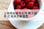 上海网站建设公司-精工细作-打造网页新境界