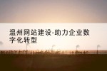 温州网站建设-助力企业数字化转型