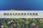 网站优化的实用技巧和思路