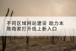 不同区域网站建设 助力本地商家打开线上新入口