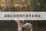 运城企业如何打造专业网站