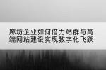 廊坊企业如何借力站群与高端网站建设实现数字化飞跃