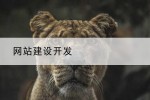 网站建设开发