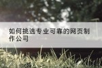 如何挑选专业可靠的网页制作公司