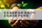 企业建站新选择-高效CMS系统助力数字化转型