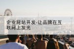企业网站开发-让品牌在互联网上发光
