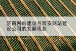 济南网站建设与西安网站建设公司的发展现状