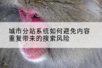 城市分站系统如何避免内容重复带来的搜索风险