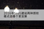 2026年SaaS建站两种授权模式选哪个更划算