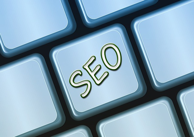 搜索引擎的优化, seo, 搜索引擎