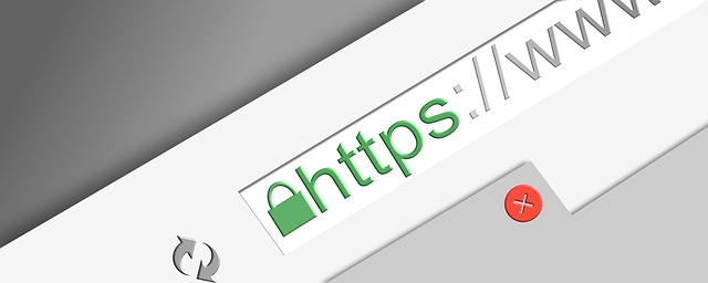 https, 网站, 互联网