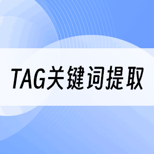 TAG/关键词提取