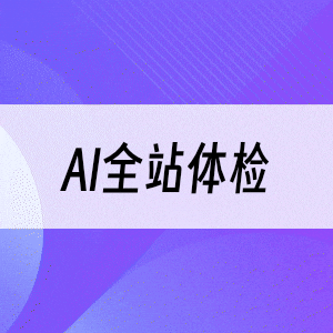 AI全站体检
